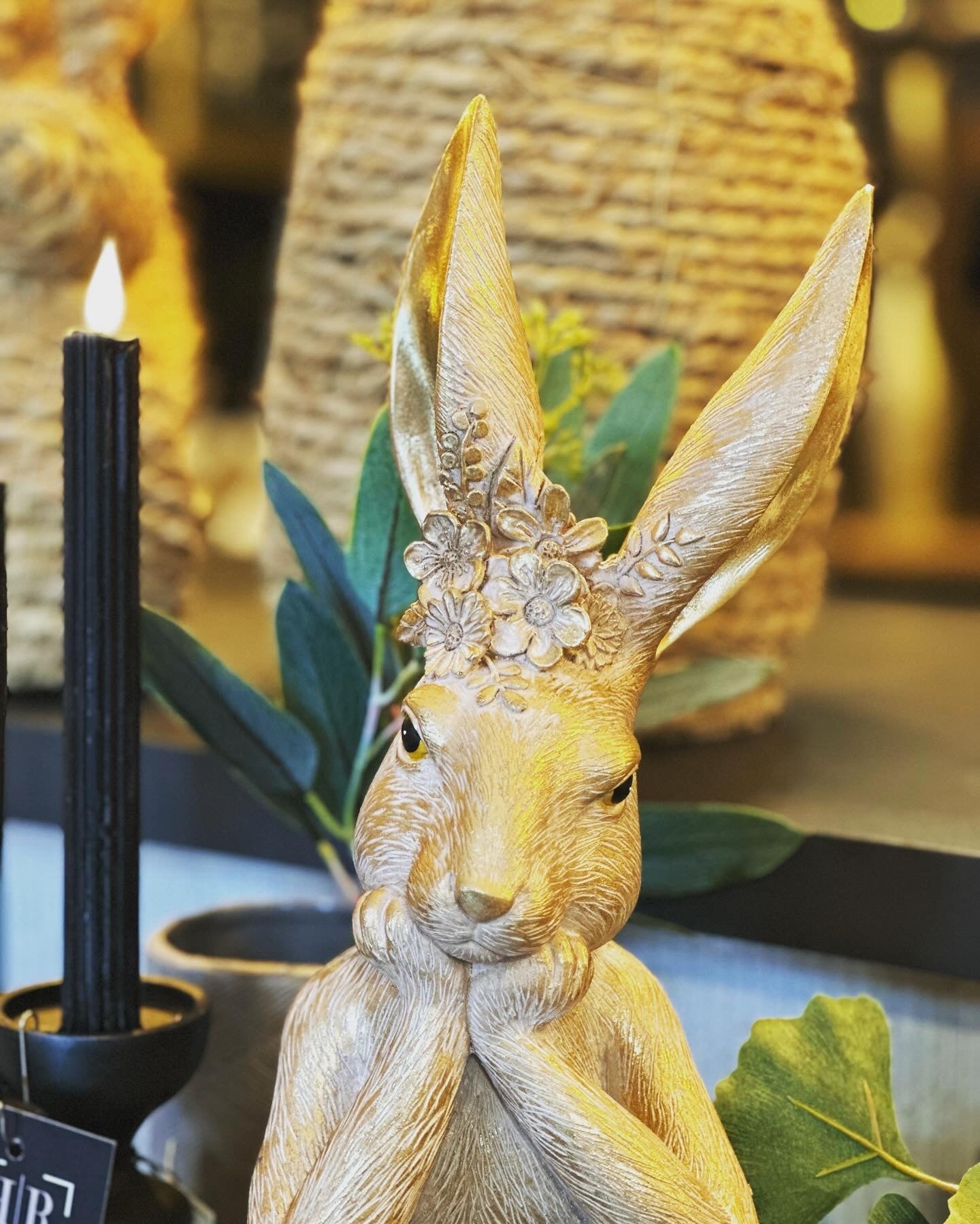 Iesa Hase Gold PTMD 720642