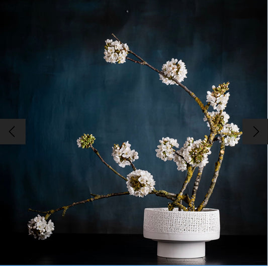 GAZE Blumenschale für Kenzan D 21 cm Klatt Objects 
Schale aus Bone China Porzellan Filament, Farbe: Weiß