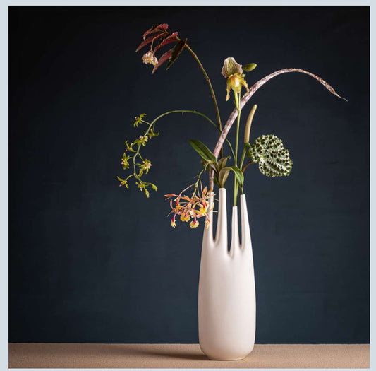 RHIZOM Vase 4er alto mit 4 Öffnungen, aus feinem Knochenporzellan (Bone China) Farbe: Weiß