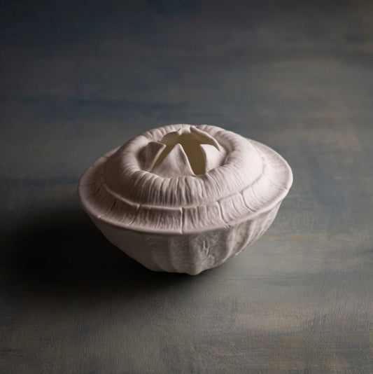 FRUCTUS EUCALYPTUS GLOBULUS Vase W Klatt Objects 
Vase aus feinem Knochenporzellan (Bone China) Farbe: Weiß